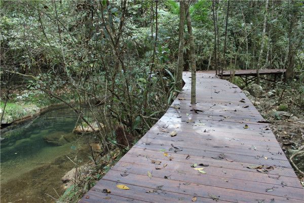 高耐重竹地板|西安宏艺达防腐木