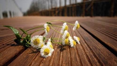 高耐重竹地板|西安宏艺达防腐木